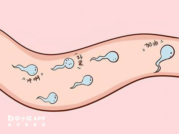 二代试管是针对精子活力差的技术