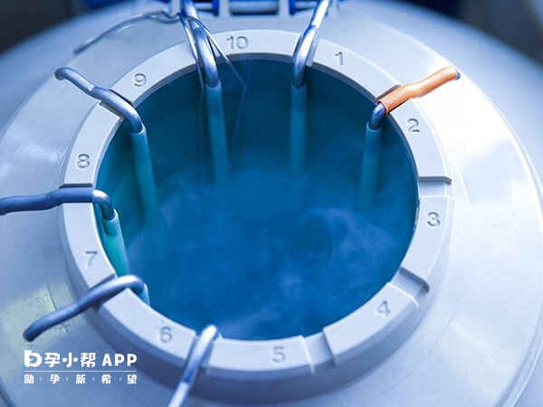胚胎是在液氮中冷冻保存