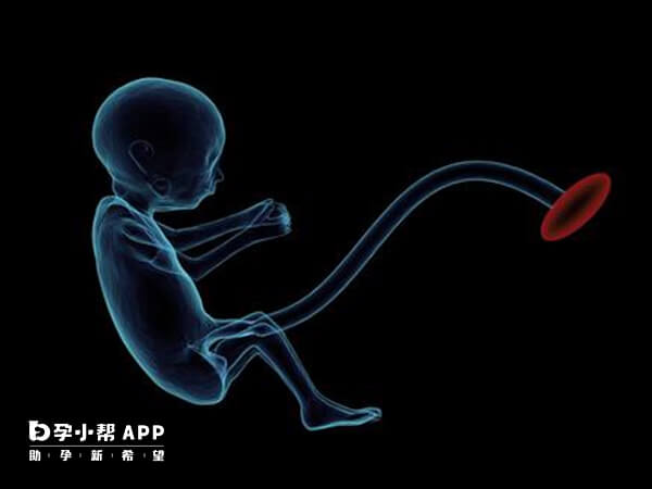 胚胎移植后最早1周能测到怀孕