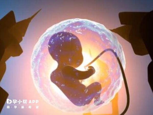 胚胎停育原因有多种
