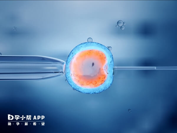 短方案一般移植冻胚或冻囊胚