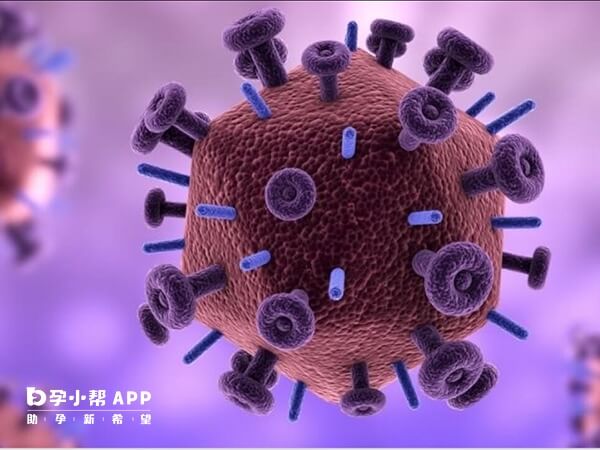 hpv52相当于流感病毒