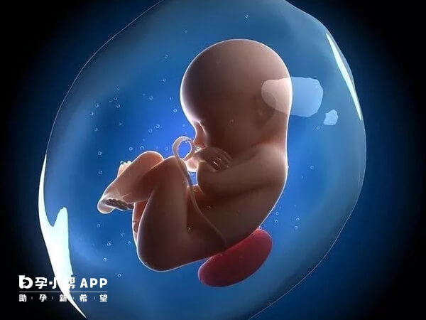 诊断胎儿发育迟缓要看多方面数据