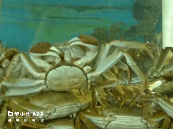 死螃蟹含有有毒的组胺物质