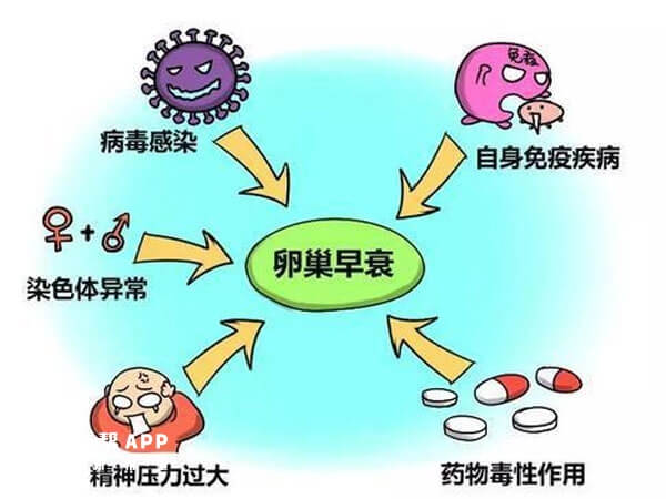 长时间不良生活习惯会出现内分泌失调从而导致卵巢早衰