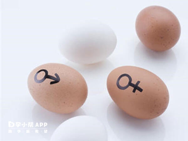 鸡蛋测量男女需要用生鸡蛋