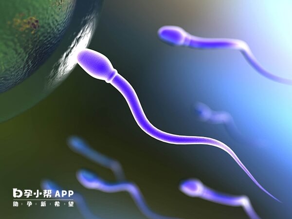 精子卵子结合才能生孩子