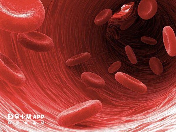 血沉主要是指红细胞的沉降速度