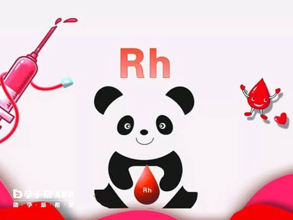 Rh阴性血型又叫熊猫血