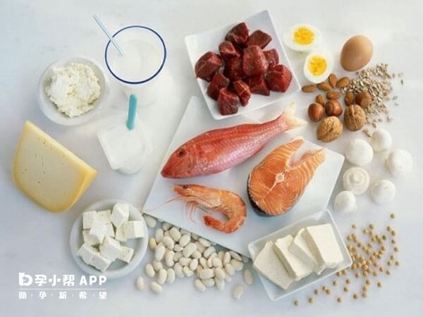 试管期间多吃高蛋白食物对身体有益
