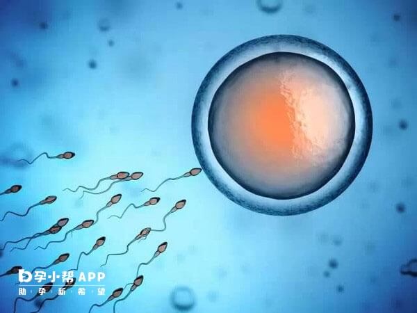 胚胎移植一般在培养五天后移植女性体内
