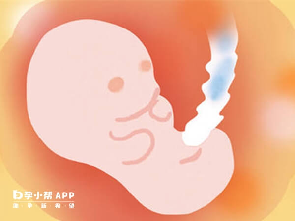 孕早期感染疱疹病毒对胎儿伤害是巨大的