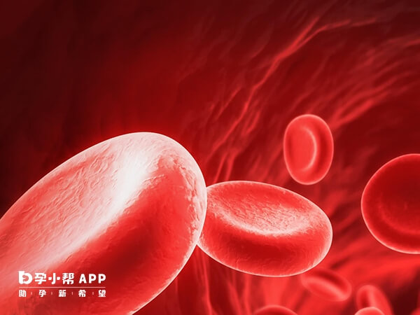 稀有血型就是一种少见或罕见的血型