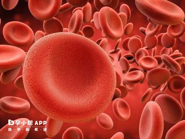 血沉就是红细胞沉降率