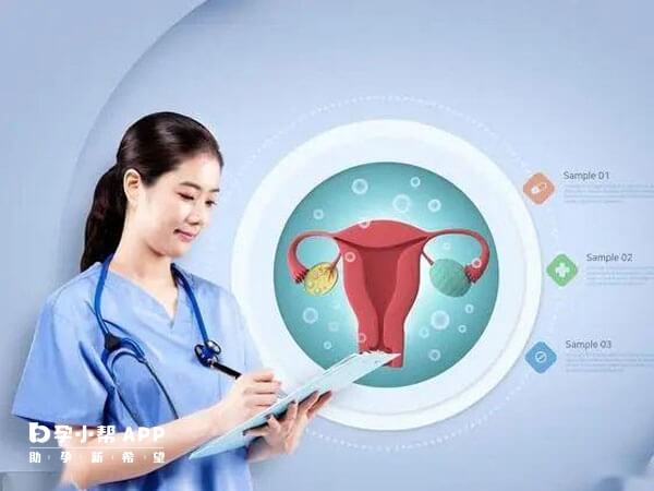 子宫内膜检查时间