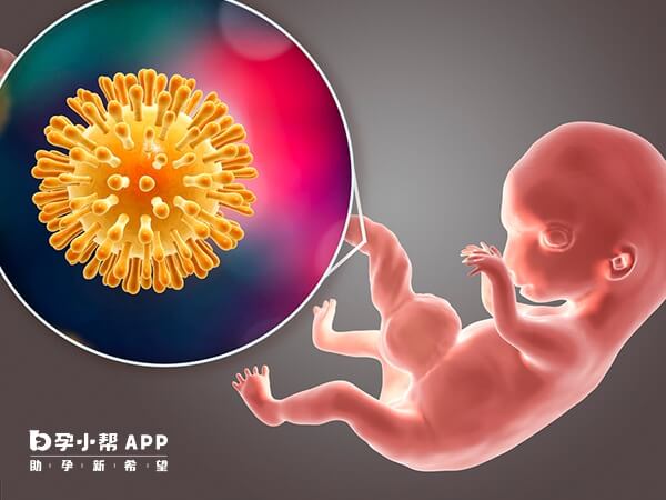 梅毒会影响胎儿的发育