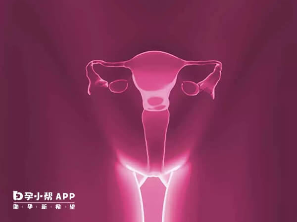 高龄女性卵巢功能较好就有怀孕的可能