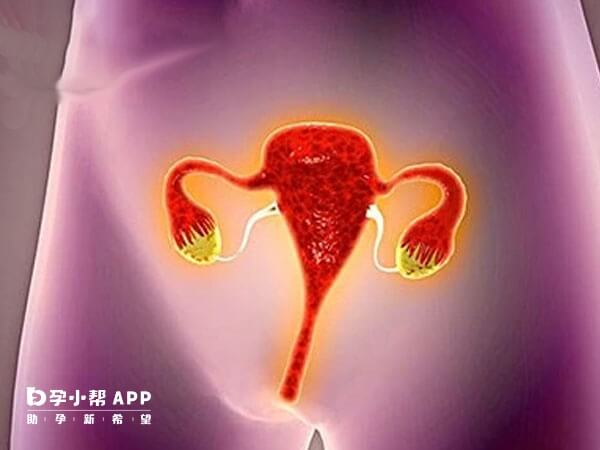 偏小子宫月经正常可以孕育孩子