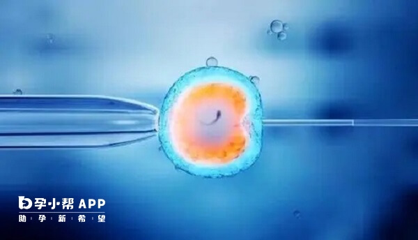 雌二醇不能作为判断胚胎着床成功的依据
