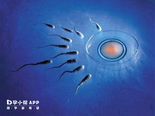 上海东方医院试管婴儿成功率在48%左右