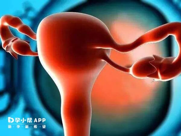 卵巢早衰可以申请供卵试管