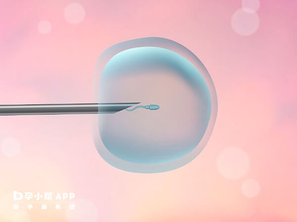 上海市第一人民医院擅长胚胎培养