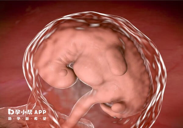 人授可能导致胎儿畸形