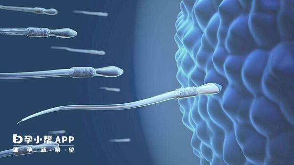 精子碎片率高建议做第三代试管技术