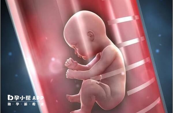 做第二代试管移植医生不知道胚胎的性别
