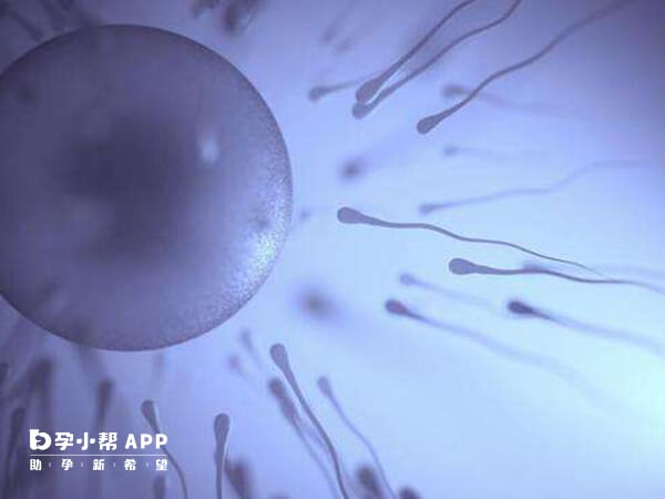 西安人民医院申请供卵试管需要有相关适应症