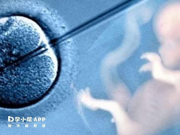 试管婴儿移植冻胚鲜胚时间不同