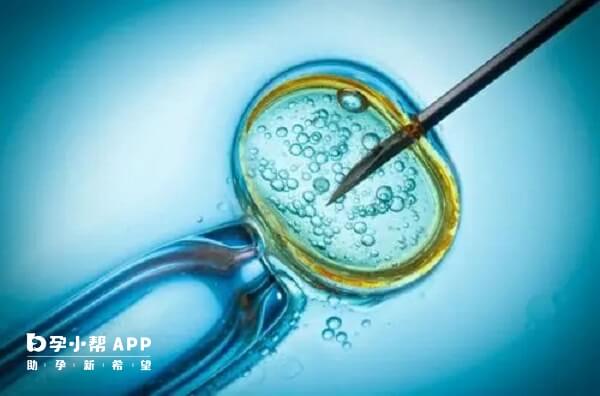 能移植鲜胚的不一定是质量好的胚胎