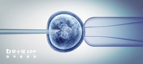 超长方案鲜胚移植成功率高