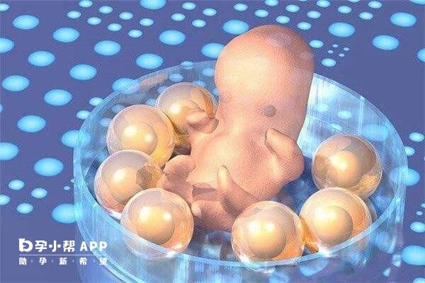 囊胚移植一般成功率较高