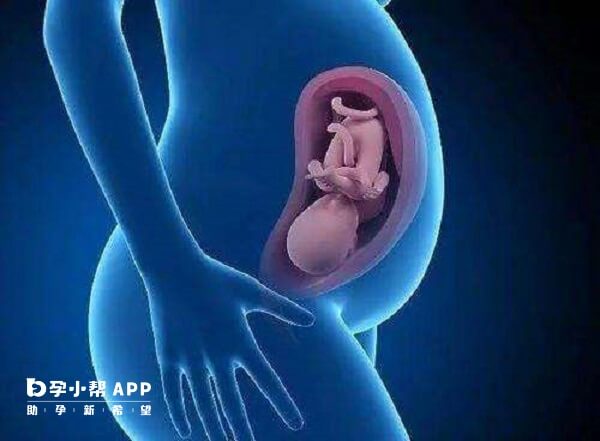 试管婴儿怀胎和自然怀孕一样