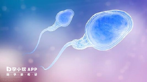 单精子注射激素主要是解决男性不孕的问题提高男性的生育能力