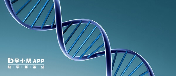 染色体筛查主要是针对遗传疾病问题