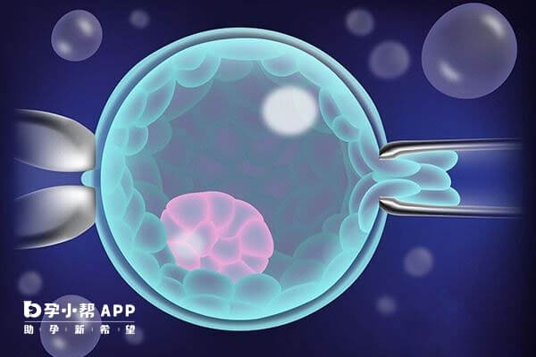 二代试管移植鲜胚成功率高