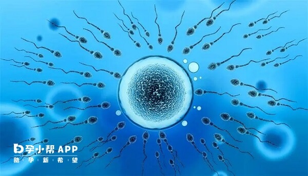 鲜胚移植6-8天内测试结果只做参考