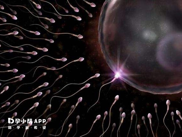 同源染色体易位症患者可以申请供卵试管