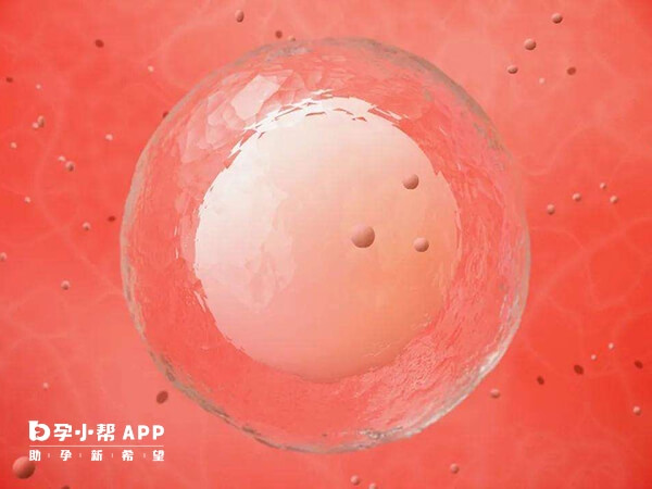 武汉的试管医院基本都可以申请供卵