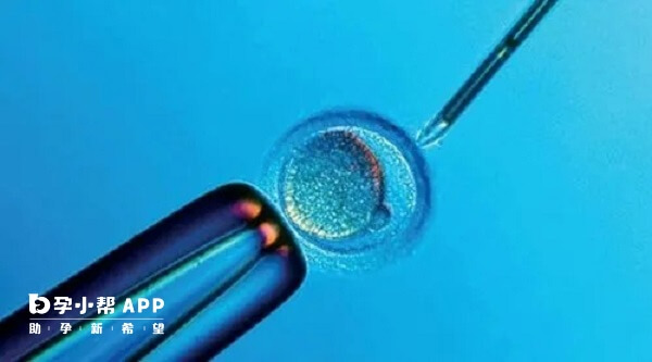 打肝素可以稳定胚胎