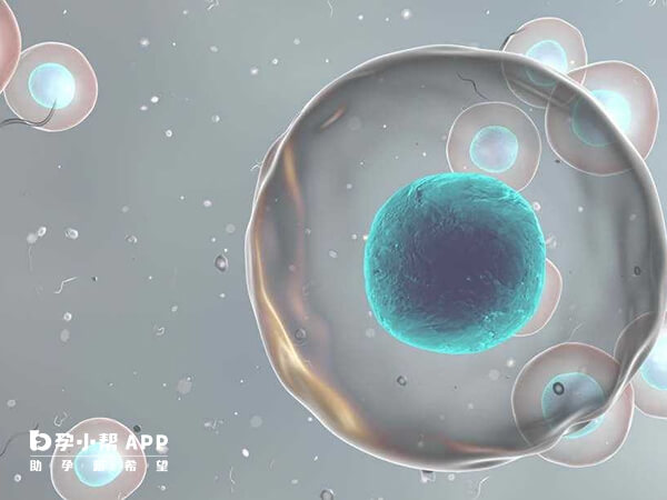 上海仁济医院冻胚移植成功率较高