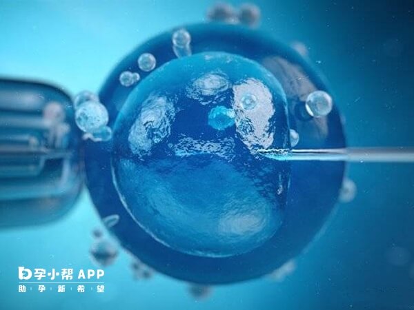 上海有很多权威医院都开展了冻卵子技术