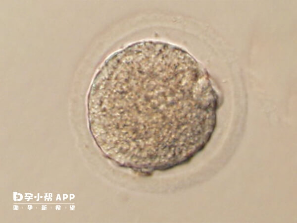 7c4胚胎碎片太多