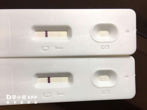 囊胚移植第7天白板可能是尿液中的hcg浓度不够