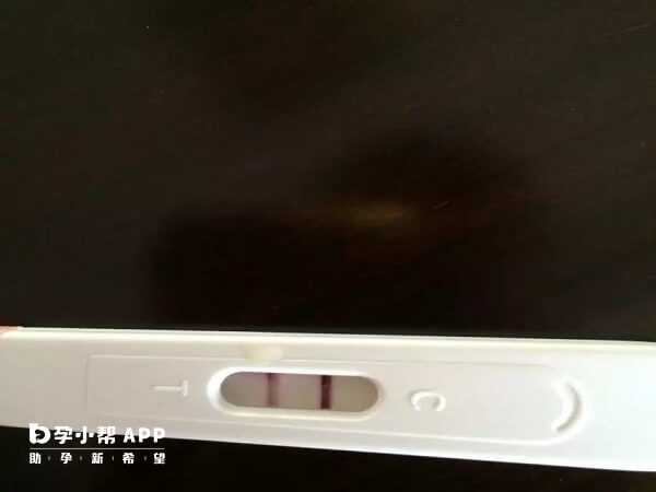 早孕试纸不能测出胎儿性别