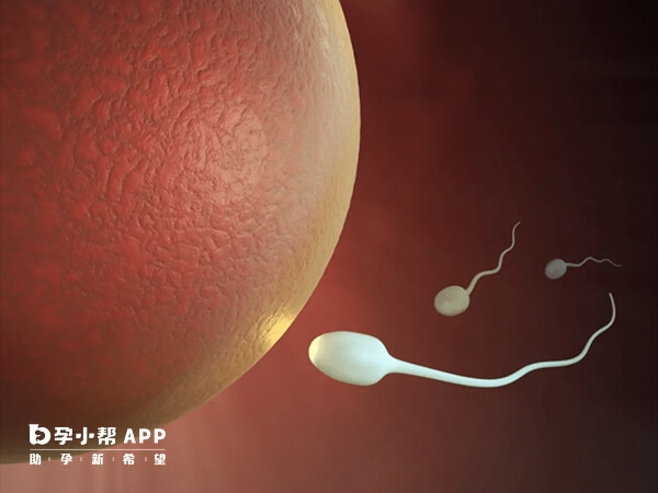 卵子有问题还可以先尝试三代试管助孕