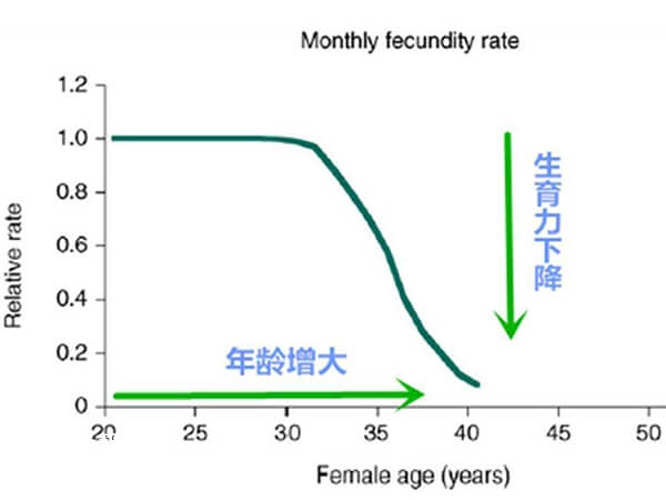女性年龄越大囊胚移植成功率越低