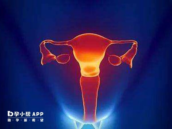 卵巢早衰一般会较长时间不来月经